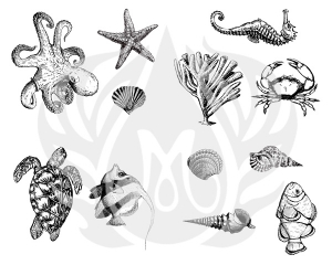 Sea Life 