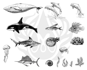 Sea Life 2 