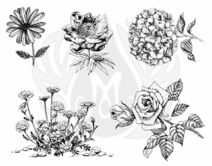Flowers 3 XL 