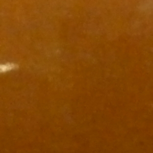 Apricot 