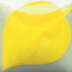 YELLOW ORANGE 