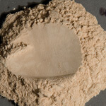 Manganese Carbonate 