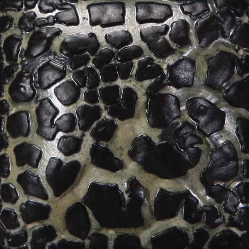 Black Mudcrack 