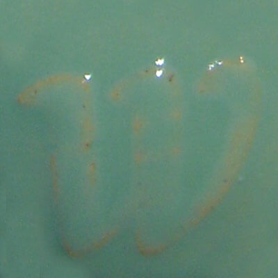 Light Green Gloss 