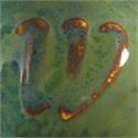 Kelp Forest Art 