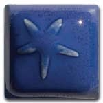 TURBULENT INDIGO 