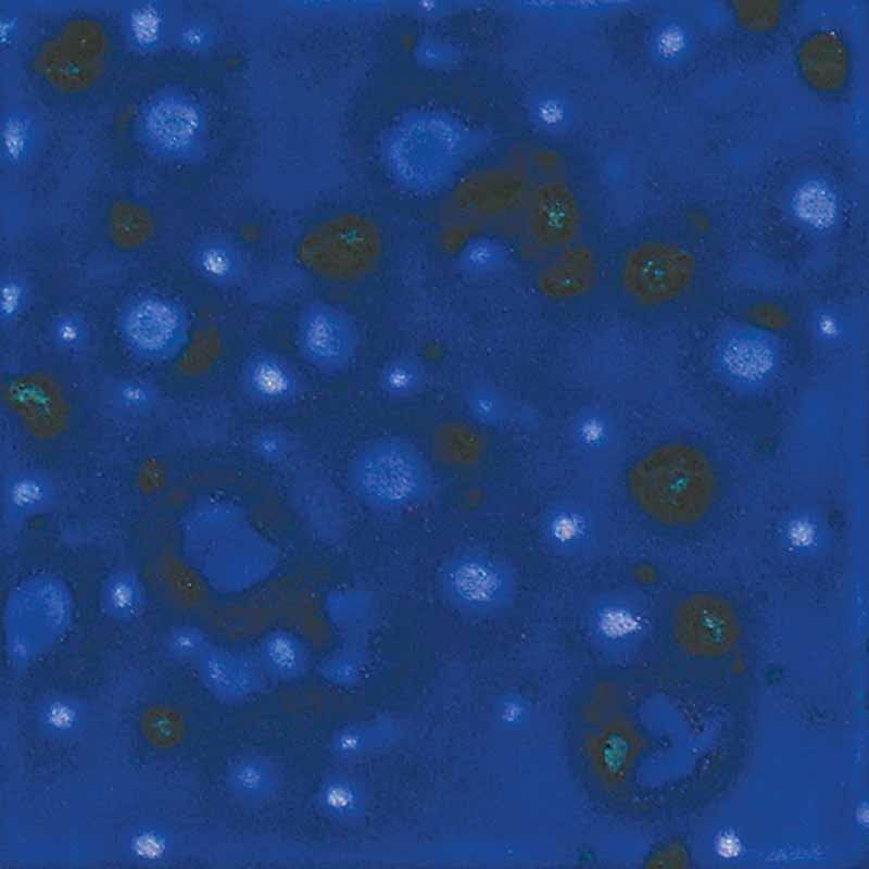 Lagoon Blue 