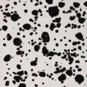 Ink Spots 