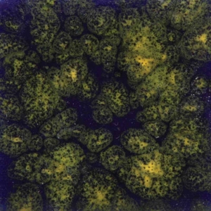 Starry Night 