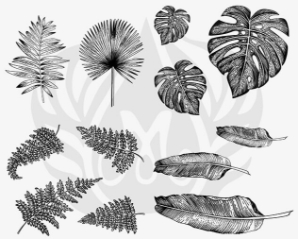 Tropical Leaves 